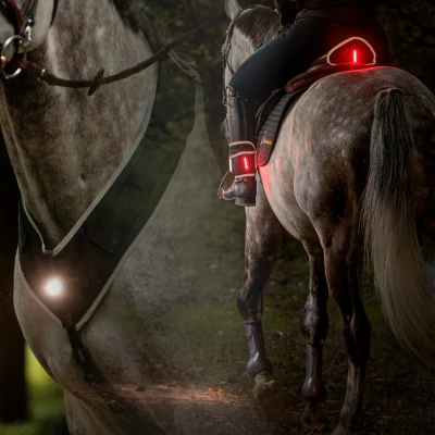 Abbildung von Kavalkade Horselight Set II