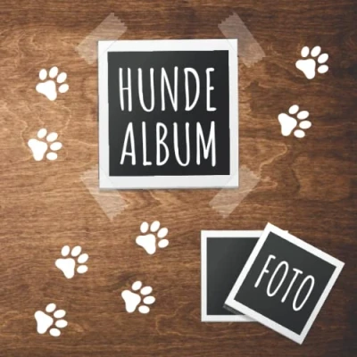 Abbildung von Hunde Album: tolles Fotoalbum für alle Hundehalter Erinnerungsalbum Geschenkidee Hundebesitzer Hundealbum zum Festhalten schöner Momente mit deinem Hund