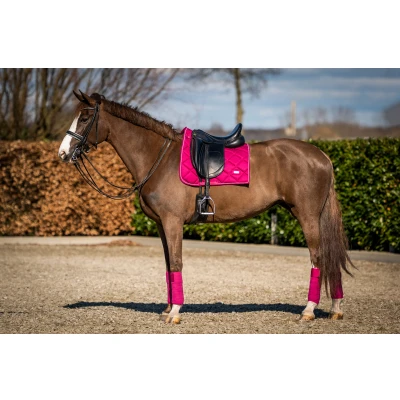 Abbildung von HB Showtime Schabracke Crown Dressur Rasberry Warmblut