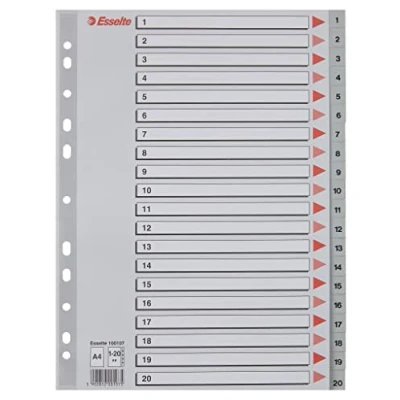 Abbildung von Leitz Esselte Register für A4, Deckblatt aus Karton und 20 Trennblätter Kunststoff, Taben mit Zahlenaufdruck 1 20, Überbreite, Grau, 100107