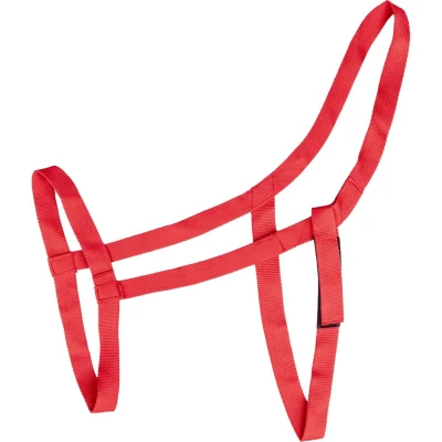 Abbildung von Waldhausen Halfter Weide Rot Shetland