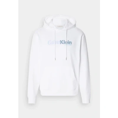 Abbildung von Calvin Klein Kapuzensweatshirt »LS EU 350TERRY CURSIVE GRAPHIC H«, regular fit, Logo Schriftzug