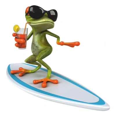 Abbildung von Sticker Surfer Frosch I 15 x cm für Laptop Koffer Roller Motorrad Badezimmer Duschwand als Auto Aufkleber lustig cool wetterfest kfz_377