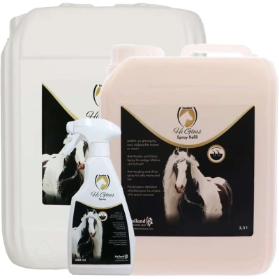 Abbildung von Excellent Testwert Glanzspray 250 ml Farbe Weniger