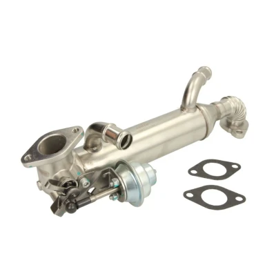 Abbildung von NRF 48313 AGR Kühler mit Dichtringen EASY FIT VOLKSWAGEN: Transporter 5 Bus