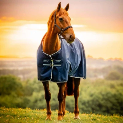 Abbildung von Amigo Ripstop 900D 50g Fleece Lined Witney Navy 140/191 Agradi.deVerkauft von Agradi
