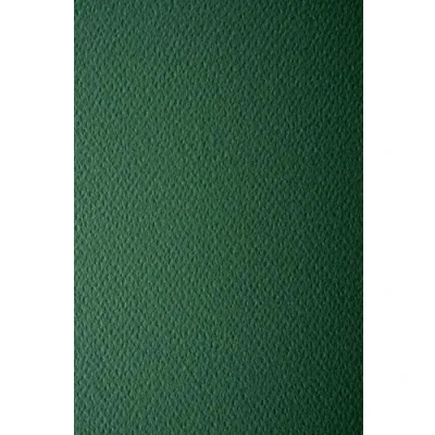 Abbildung von Netuno 10x Tonkarton Tannen Grün einseitig strukturiert DIN A4 210x 297 mm 220g Prisma Pino Strukturkarton für Weihnachten Einladungen Visitenkarten Diplome zum Zeichnen Basteln Dekorieren