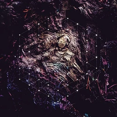 Abbildung von Unfold the God Man [Vinyl LP]