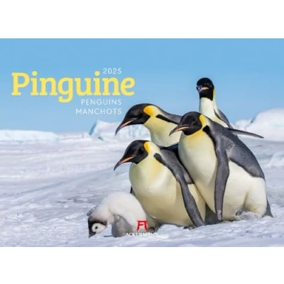 Abbildung von Pinguine Kalender 2025, Wandkalender im Querformat (45x33 cm) Tierkalender