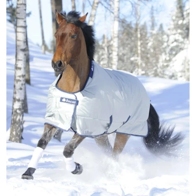 Abbildung von Bucas Power Turnout Extra 300g Silber 130/175