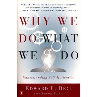 Abbildung von Why We Do What Do: Understanding Self Motivation