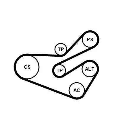 Abbildung von CONTITECH CT973K1 Zahnriemensatz 104 FIAT: Panda I Hatchback, Punto Hatchback
