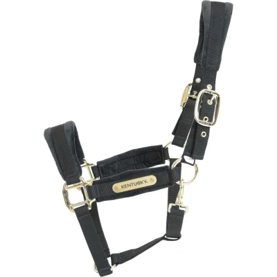 Abbildung von Kentucky Halfter Velvet Schwarz Warmblut
