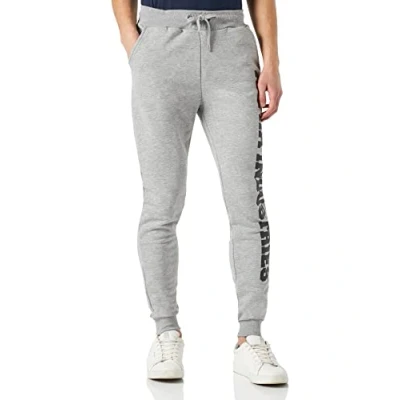 Abbildung von Alpha Industries BIG Letters Jogginghose, Herren, Größe: Medium, Grey heather