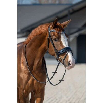 Abbildung von HB Zaum Showtime It is So Special Schwarz/Navy Funkeln Warmblut Agradi.deVerkauft von Agradi