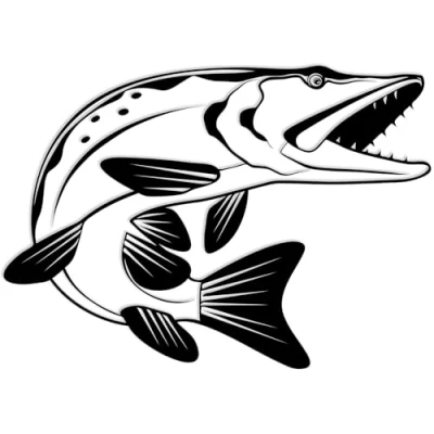 Abbildung von Finest Folia Fisch Aufkleber für Auto Motorrad Boot Schlauchboot Angelbox Sticker Autoaufkleber Angler Fische selbstklebend wetterfest wasserfest K174 (Schwarz Glanz, Motiv 04)