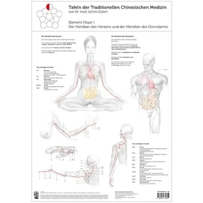 Abbildung von Element Feuer I: Tafel der Traditionellen Chinesischen Medizin: Meridian des Herzens und Dünndarms