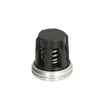 Abbildung von DT Spare Parts 1.10275 Überströmventil