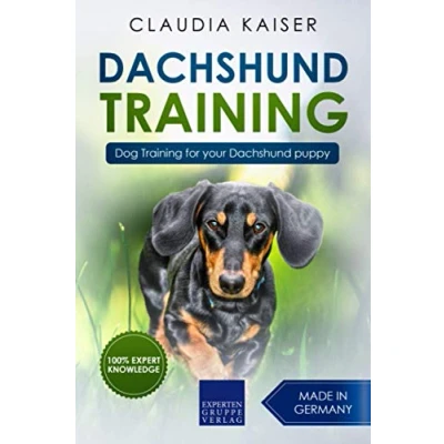 Abbildung von Dachshund Training: Dog Training for your puppy