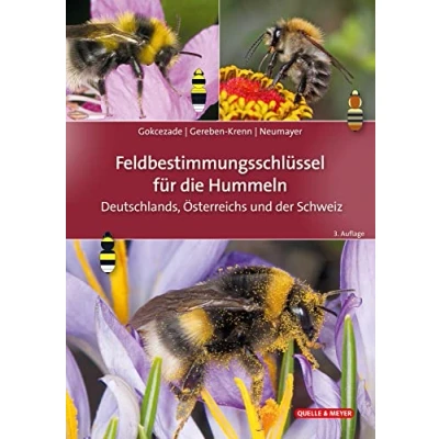 Abbildung von Feldbestimmungsschlüssel für die Hummeln Deutschlands, Österreichs und der Schweiz