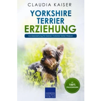 Abbildung von Yorkshire Terrier Erziehung: Hundeerziehung für Deinen Welpen