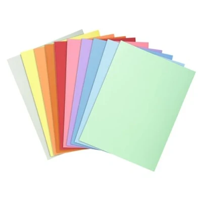 Abbildung von Exacompta 340000E 100er Pack Aktendeckel SUPER für DIN A4 in Pastellfarben PEFC™zertifizierte farbig sortiert ideal das Büro und Schule die mobile Organisation
