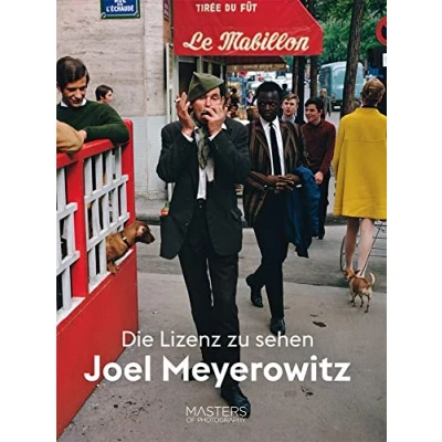 Abbildung von Joel Meyerowitz Meister der Fotografie (Midas Collection) (BIG SHOTS / Masters of Photography)