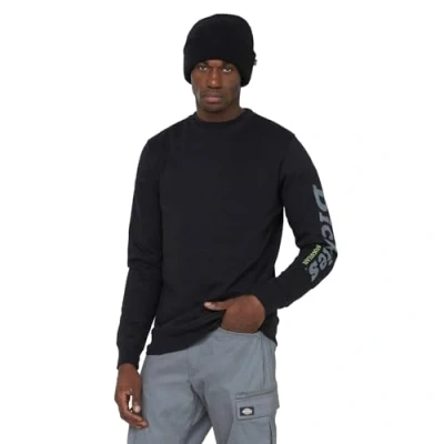 Abbildung von Dickies Okemo Graphic Sweatshirt, Herren, Größe: Large, Black