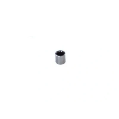 Abbildung von Kolben, Common Rail Pumpe BOSCH F 00R 0P1 187