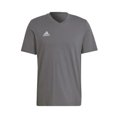Abbildung von adidas Performance Entrada 22 Tshirt print, Herren, Größe: 3XL, Grey