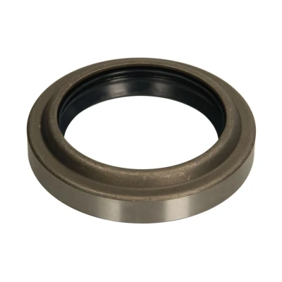 Abbildung von DT Spare Parts 4.20296 Dichtring, Antriebswellenlagerung
