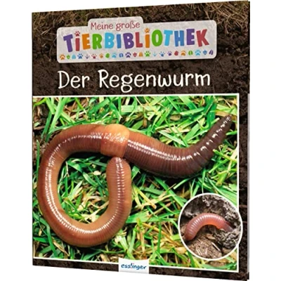 Abbildung von Meine große Tierbibliothek: Der Regenwurm: Sachbuch für Vorschule &amp; Grundschule