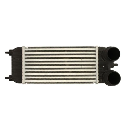 Abbildung von Ladeluftkühler THERMOTEC DAC023TT