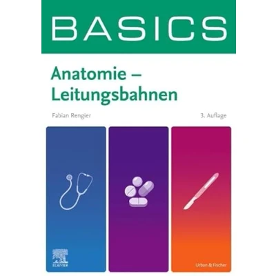 Abbildung von BASICS Anatomie Leitungsbahnen