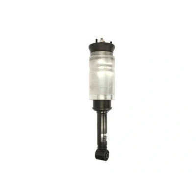 Abbildung von Magnum Technology APL009MT Luftfederbein Vorderachse LAND ROVER: Discovery 3