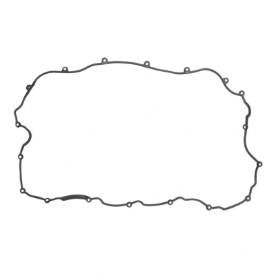 Abbildung von DT Spare Parts 5.40065 Ventildeckeldichtung