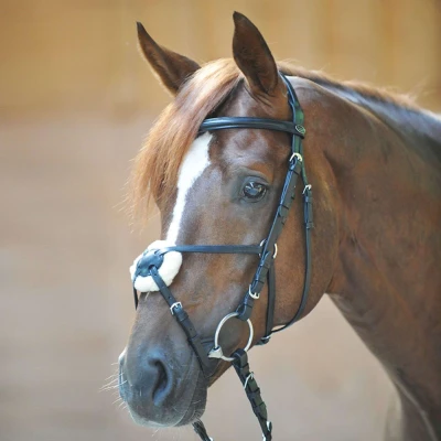 Abbildung von Kavalkade Bridle Carlos mexican noseband