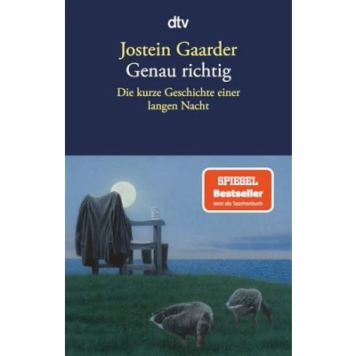 Abbildung von Genau richtig: Die kurze Geschichte einer langen Nacht