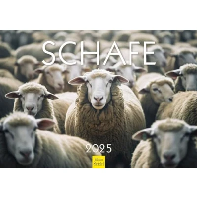 Abbildung von Edition Seidel Premium Kalender Schafe 2025 Format DIN A3 Wandkalender Tierkalender Schaf Lamm Bock Haustiere