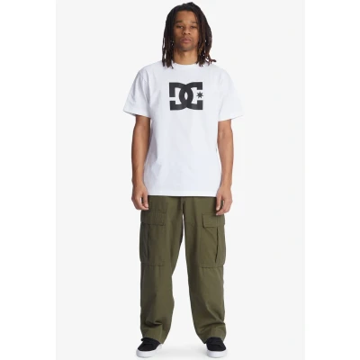 Abbildung von DC Shoes THE Tundra Cargohose, Herren, Größe: Medium, Ivy green