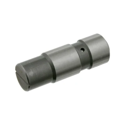 Abbildung von SWAG 50 10 0002 Spanner, Steuerkette