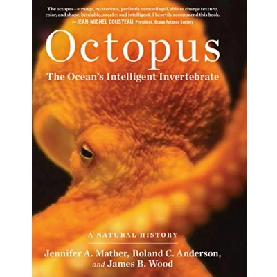 Abbildung von Octopus: The Ocean&#039;s Intelligent Invertebrate