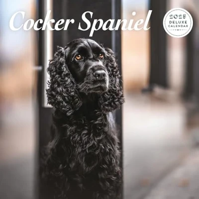 Abbildung von Cocker Spaniel Deluxe Kalender 2025