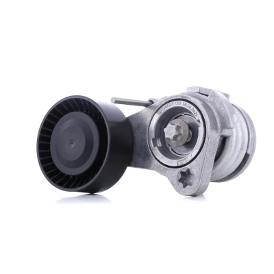 Abbildung von INA 534 0252 10 Spannarm, Keilrippenriemen BMW: 5 Touring, 3 Convertible, Touring