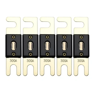 Abbildung von Offgridtec 300A 72V ANL Sicherung DIN43560/1 5er Set