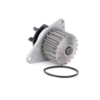 Abbildung von INA 538 0009 10 Wasserpumpe 20 mit Dichtung PEUGEOT: 205 II Hatchback, 206 309 CITROËN: BX ZX Hatchback