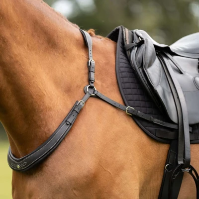 Abbildung von Kavalkade Breastplate Jerome