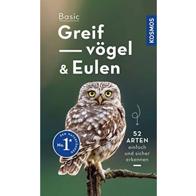 Abbildung von Basic Greifvögel und Eulen: einfach sicher erkennen