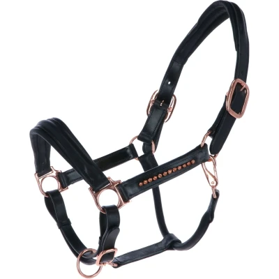 Abbildung von HB Showtime Halfter Rose Gold Leder Schwarz Warmblut Agradi.deVerkauft von Agradi