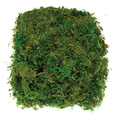 Abbildung von Baker Ross AV898 Getrocknetes Moos zum Basteln 100g, Terrarium Deko, Für Erwachsene und Kinder Basteln, Modellbau Zubehör, Grün, 100g